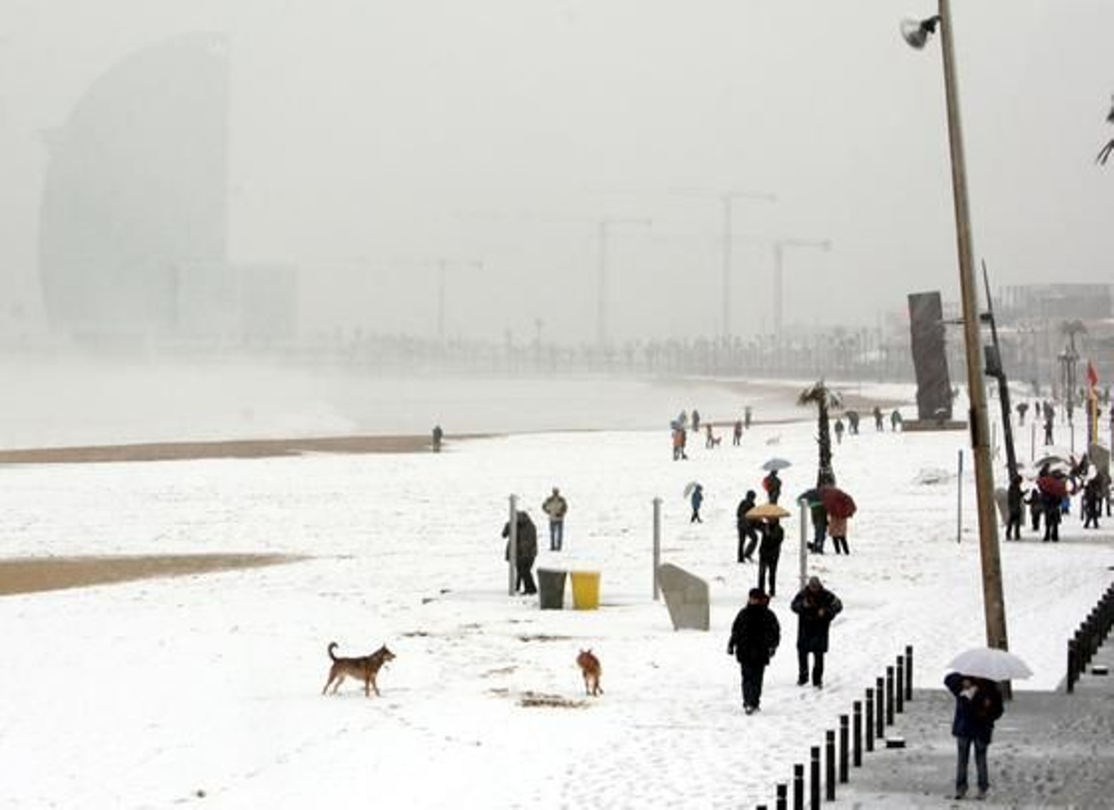 La playa de la Barceloneta, bajo la nieve. /EFE · AFP Photo · Reuters