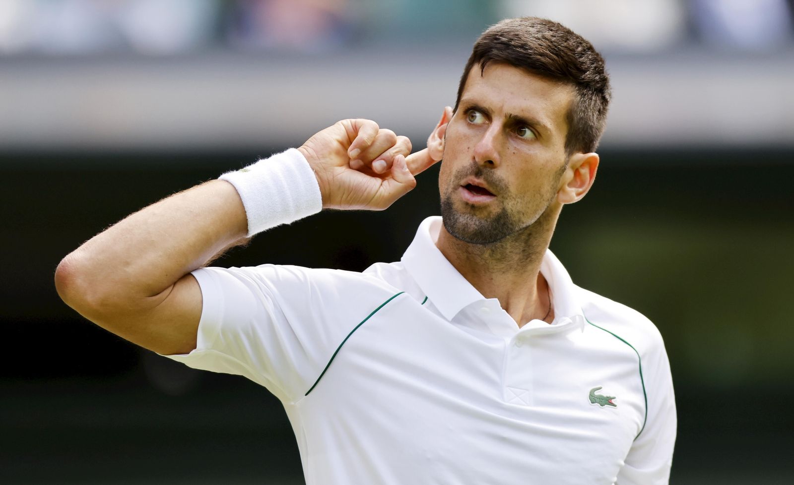 Novak Djokovic, en Wimbledon.