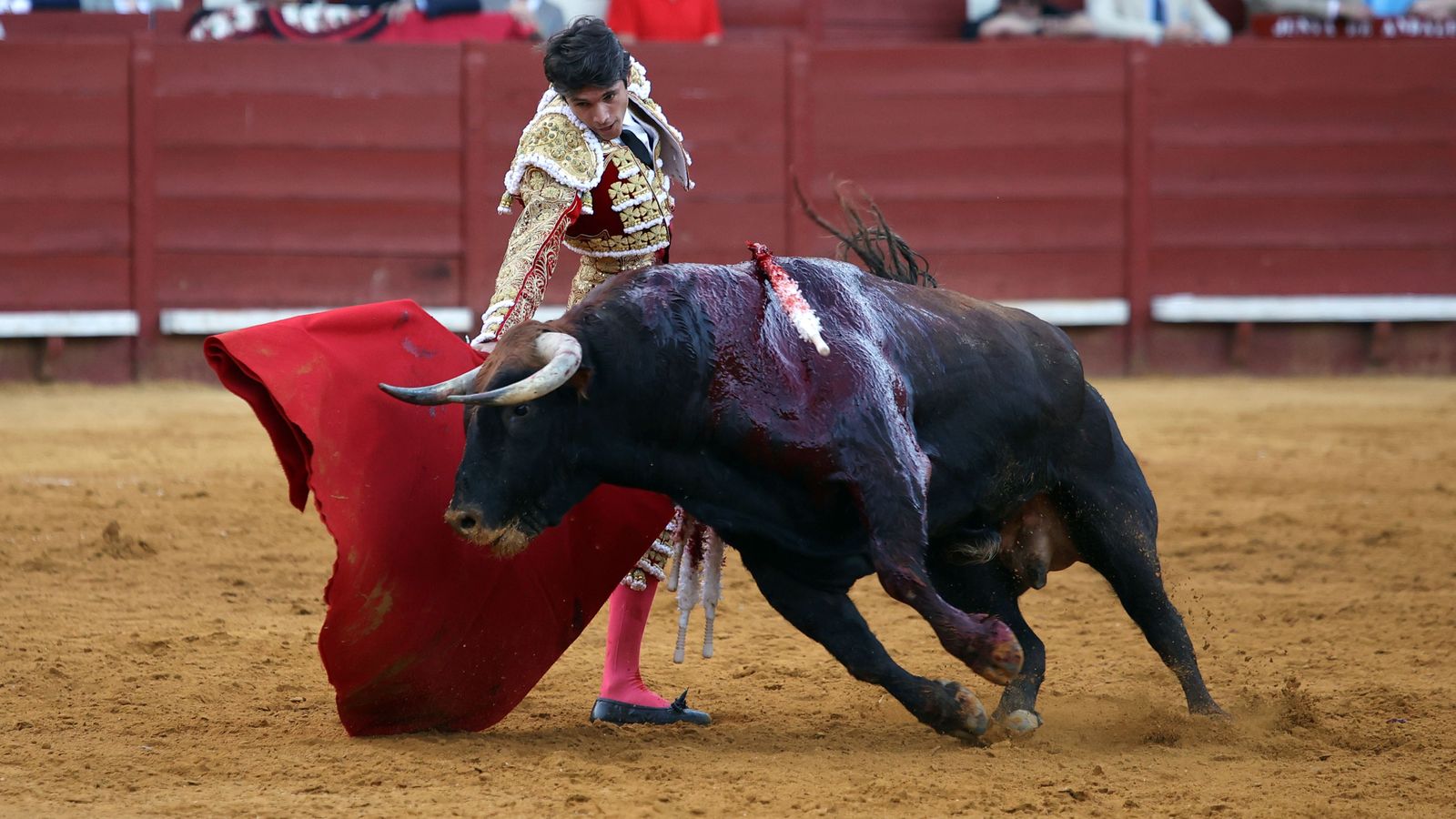 Última tarde de toros de la Feria de Jerez 2024 con Morante, Manzanares y Castella