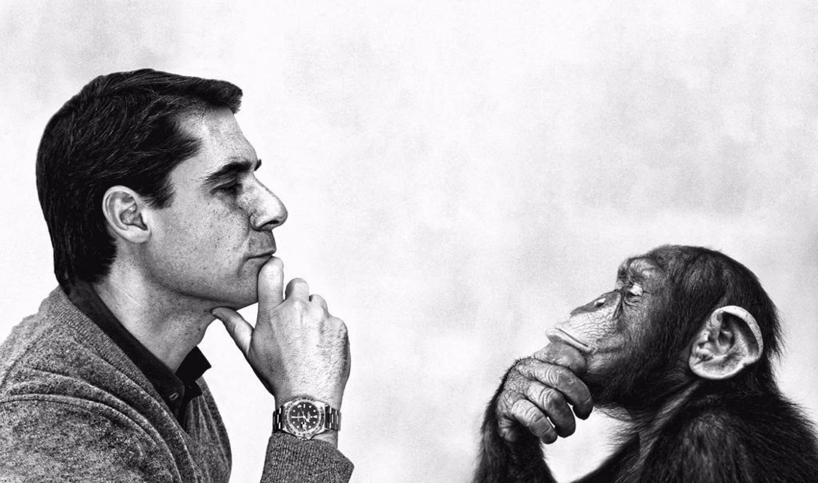 El director general de Parnaso, José Arribas.