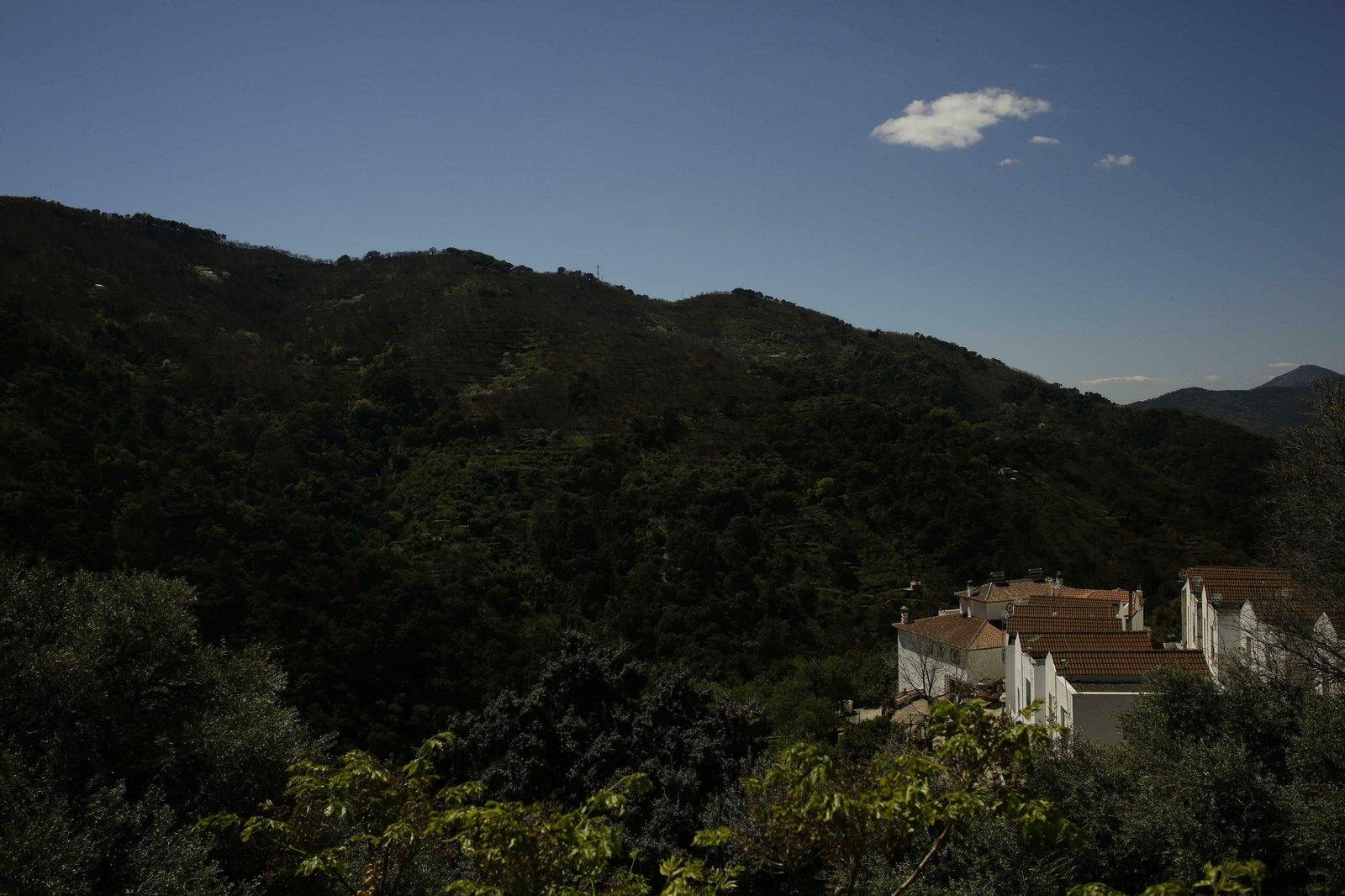 Las fotos de una vida de calidad y tranquilidad en Jubrique