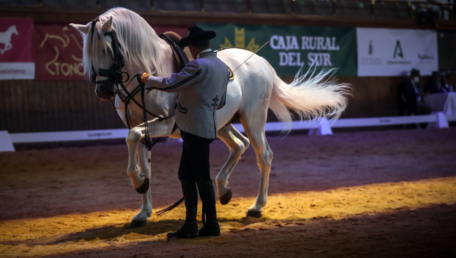 XIV Copa del Rey de Doma Vaquera y exhibición de la Real Escuela Andaluza del Arte Ecuestre