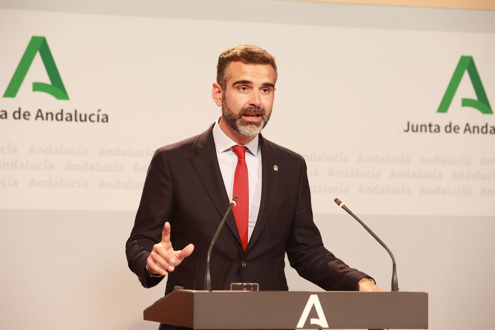 El portavoz de la Junta, Ramón Fernández-Pacheco, tras el Consejo de Gobierno.