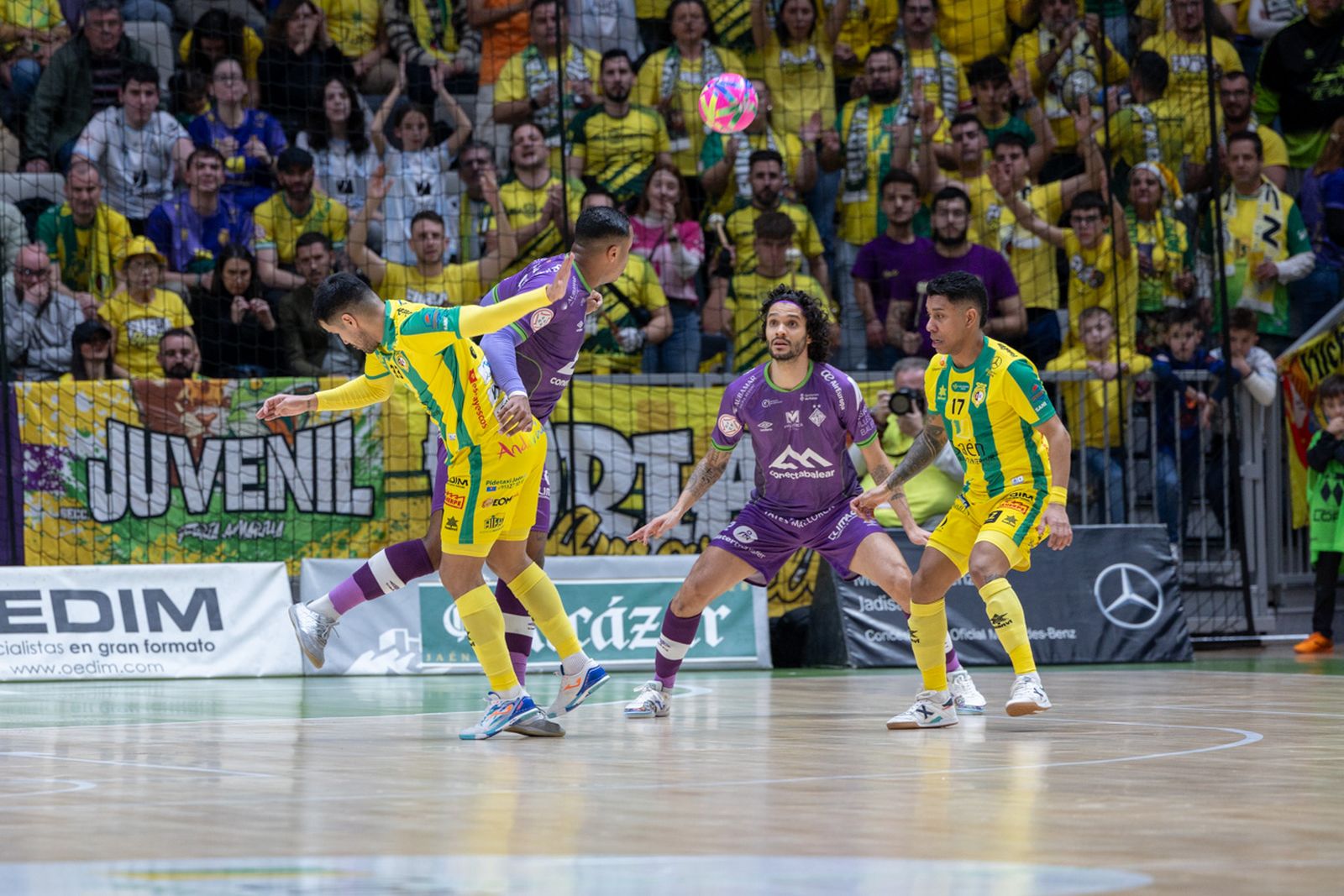 Las mejores imágenes del triunfo del Jaén Paraíso Interior FS para sellar su pasaporte copero