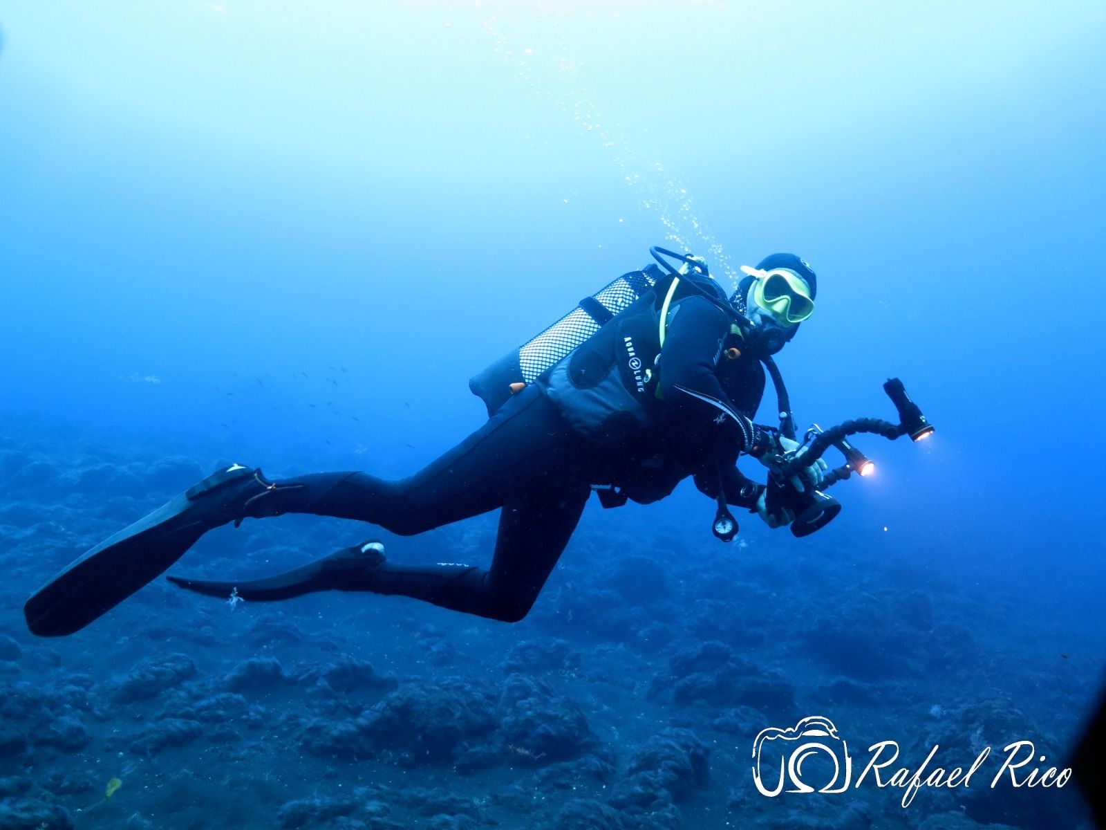 Postales fotográficas para descubrir los fondos marinos del Mediterráneo.