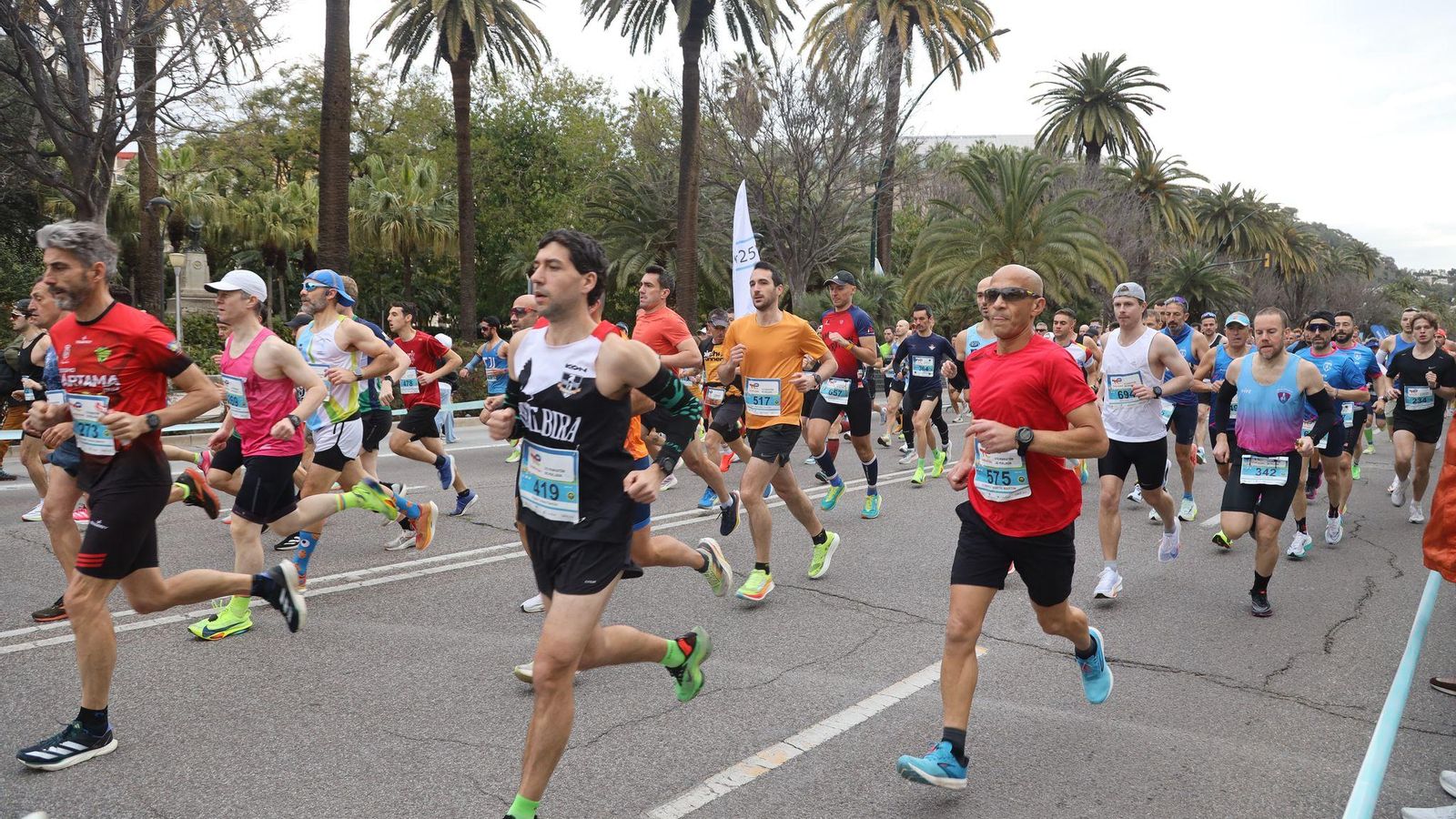 La Media Maratón de Málaga 2025, en fotos