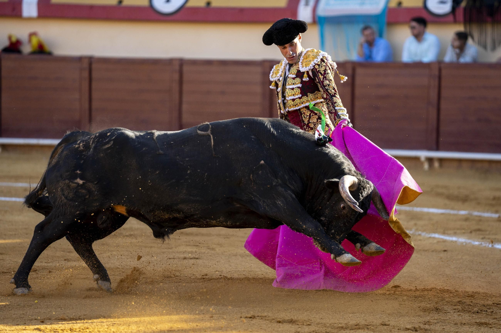 Las imágenes de los toros en Vera