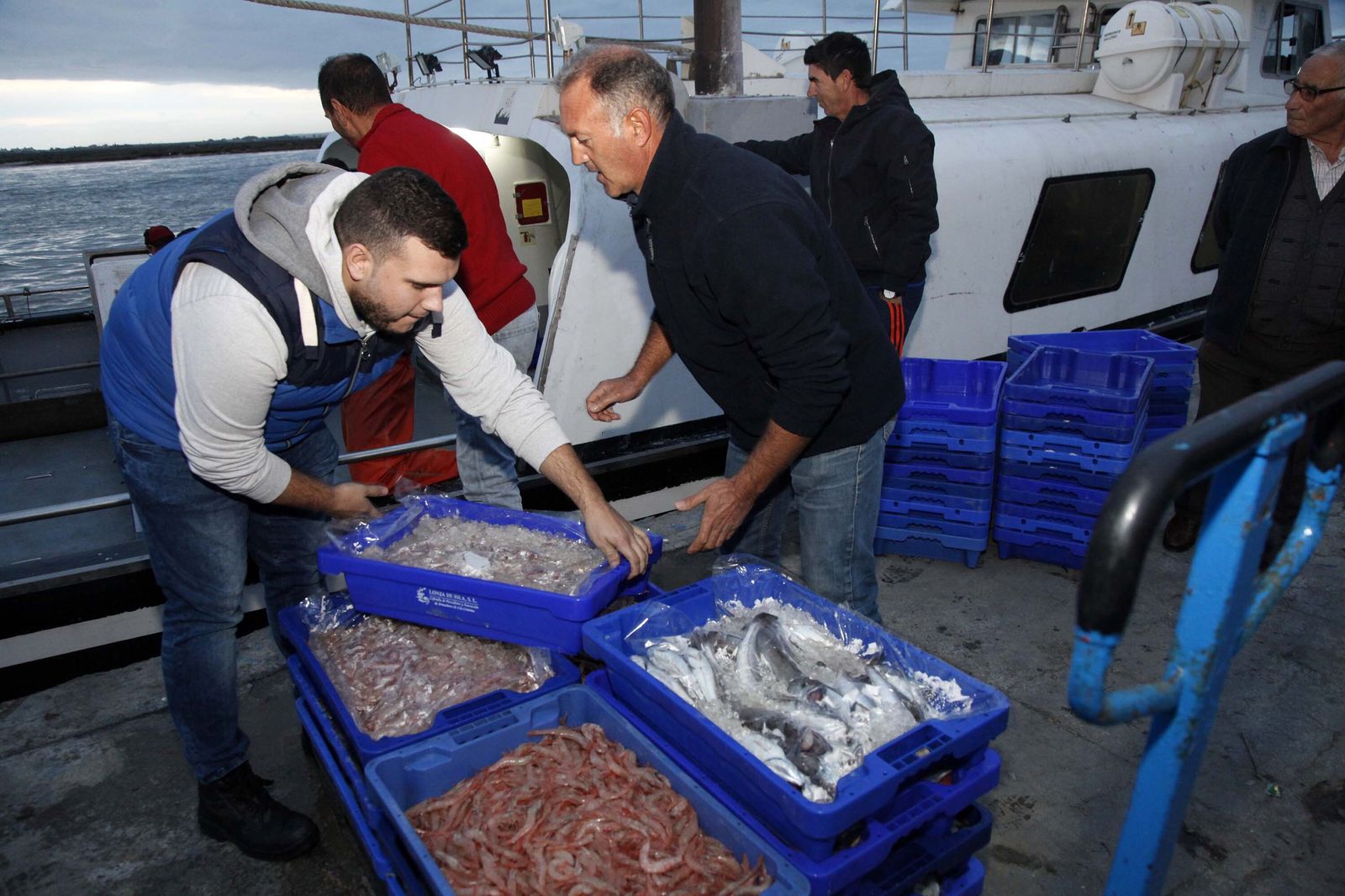Descargar de las capturas de marisco y pescado en el Puerto.