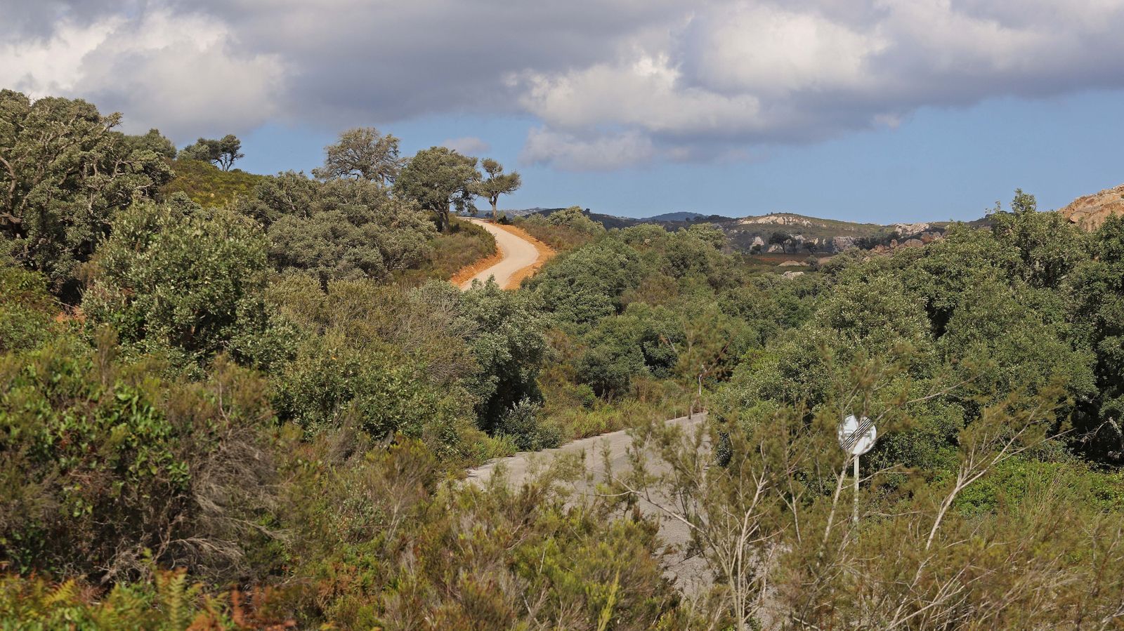 Fotos del futuro Corredor Verde Dos Bahías en Los Barrios