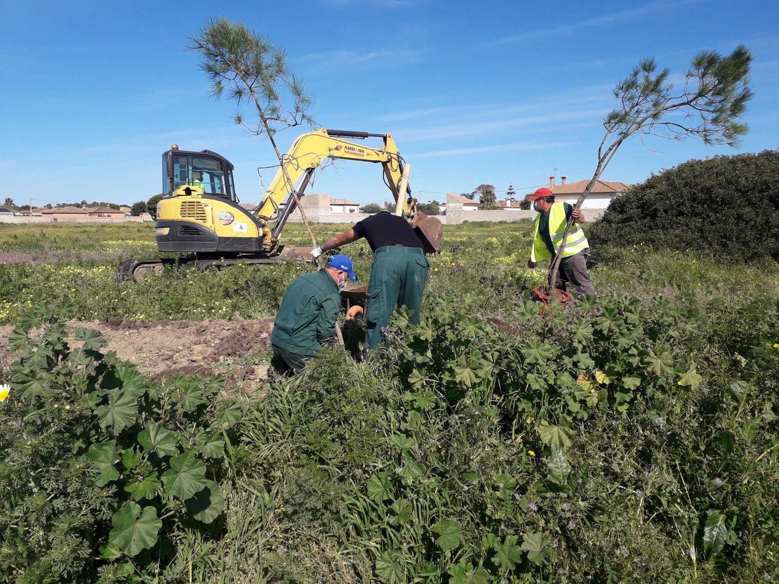Trabajos que se llevaban a cabo hoy jueves en el parque de la Rana Verde.