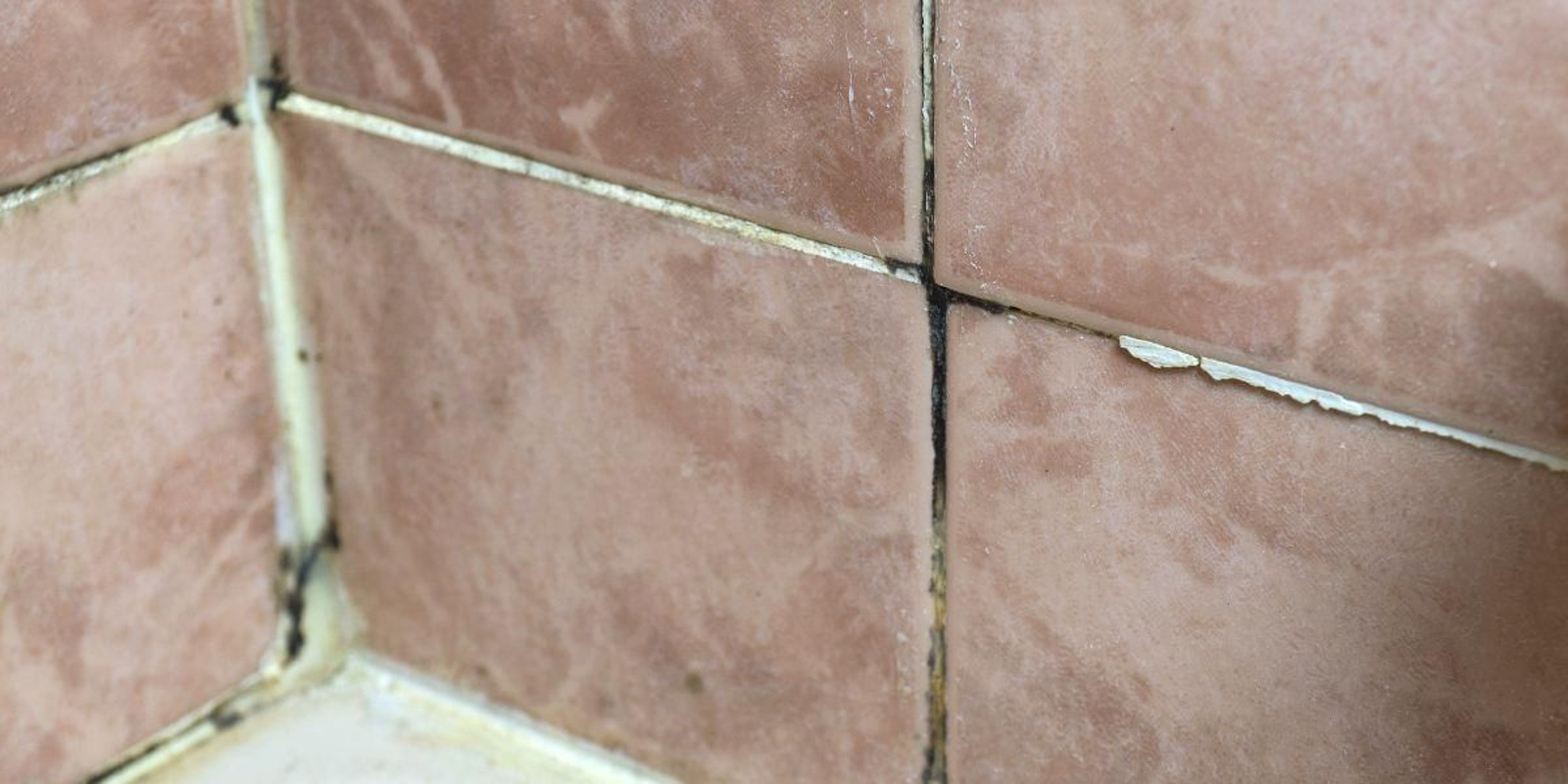 Cinco trucos para limpiar las juntas de los azulejos fácilmente