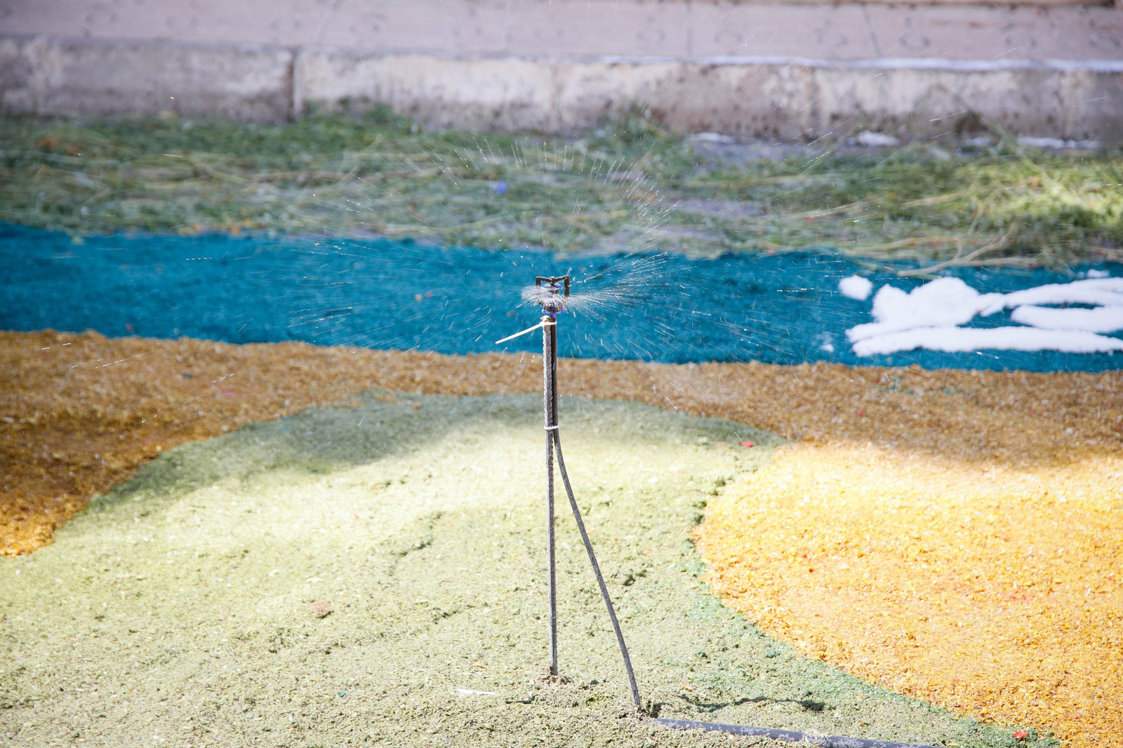 Así es la gran alfombra de serrín para que levite la Virgen de Fátima de Tíjola
