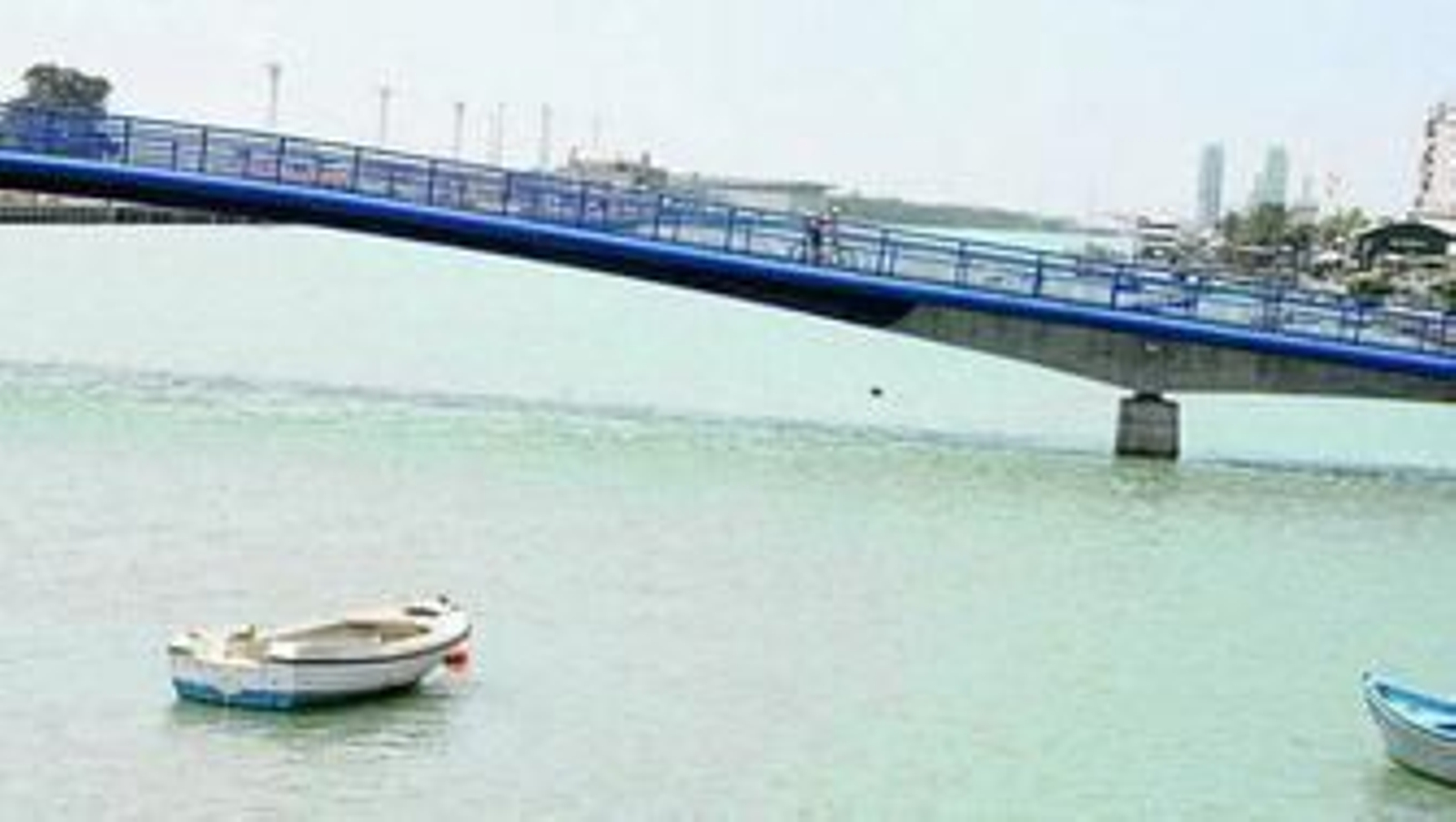 La Autoridad Portuaria ha confirmado la inversión para el dragado del río Guadalete en este próximo año 2016.