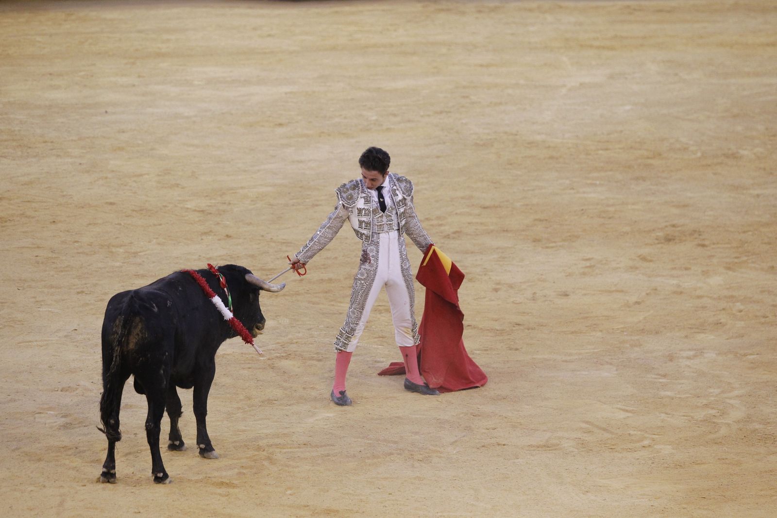 Fotogalería novillada Escuela Taurina de Almería. Feria de Almería 2019
