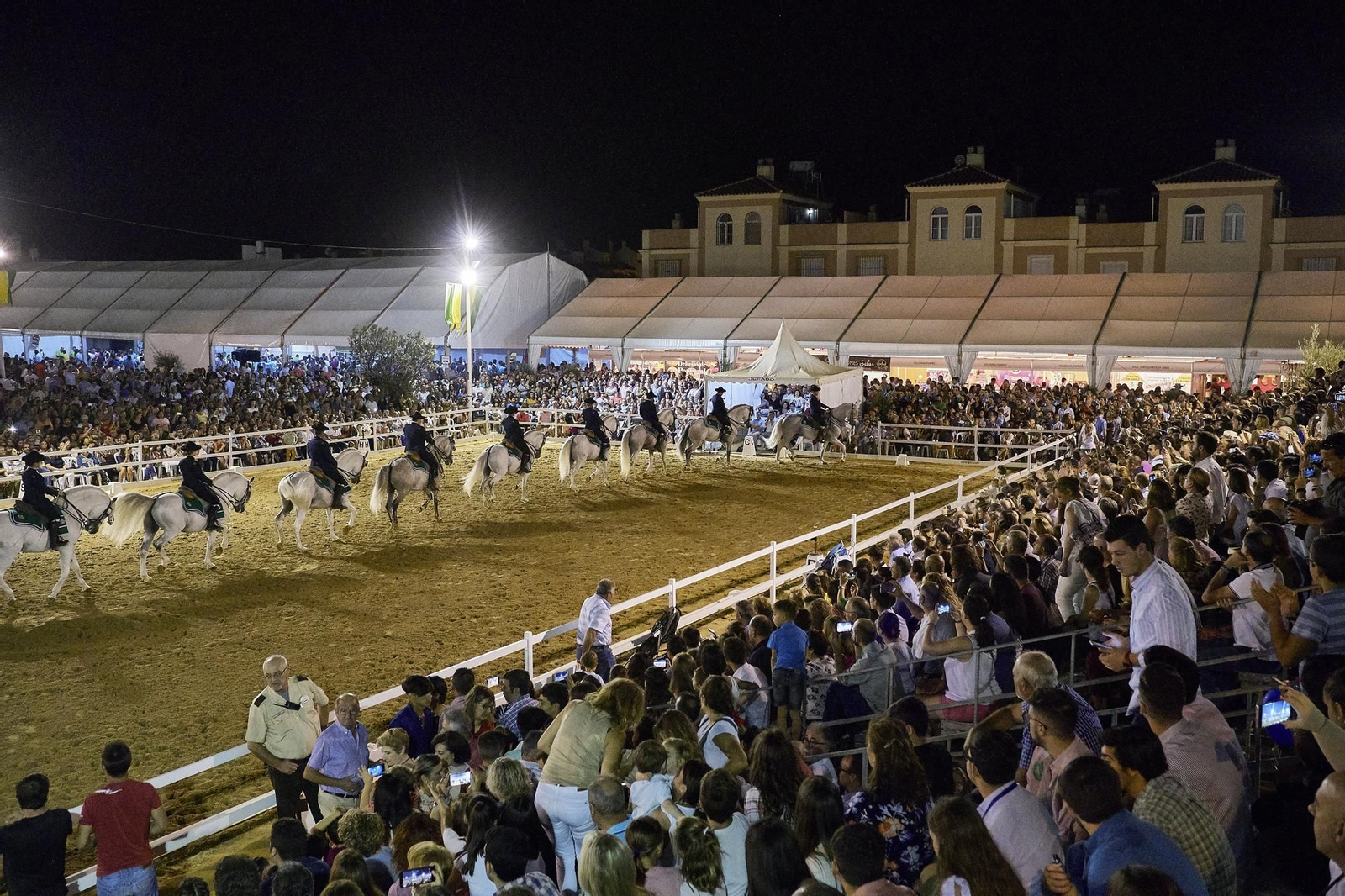 El espectáculo 'Cómo bailan los caballos andaluces' podrá verse con entrada gratuita el sábado 8 de octubre dentro del programa de actividades de Una Pará en Gines.