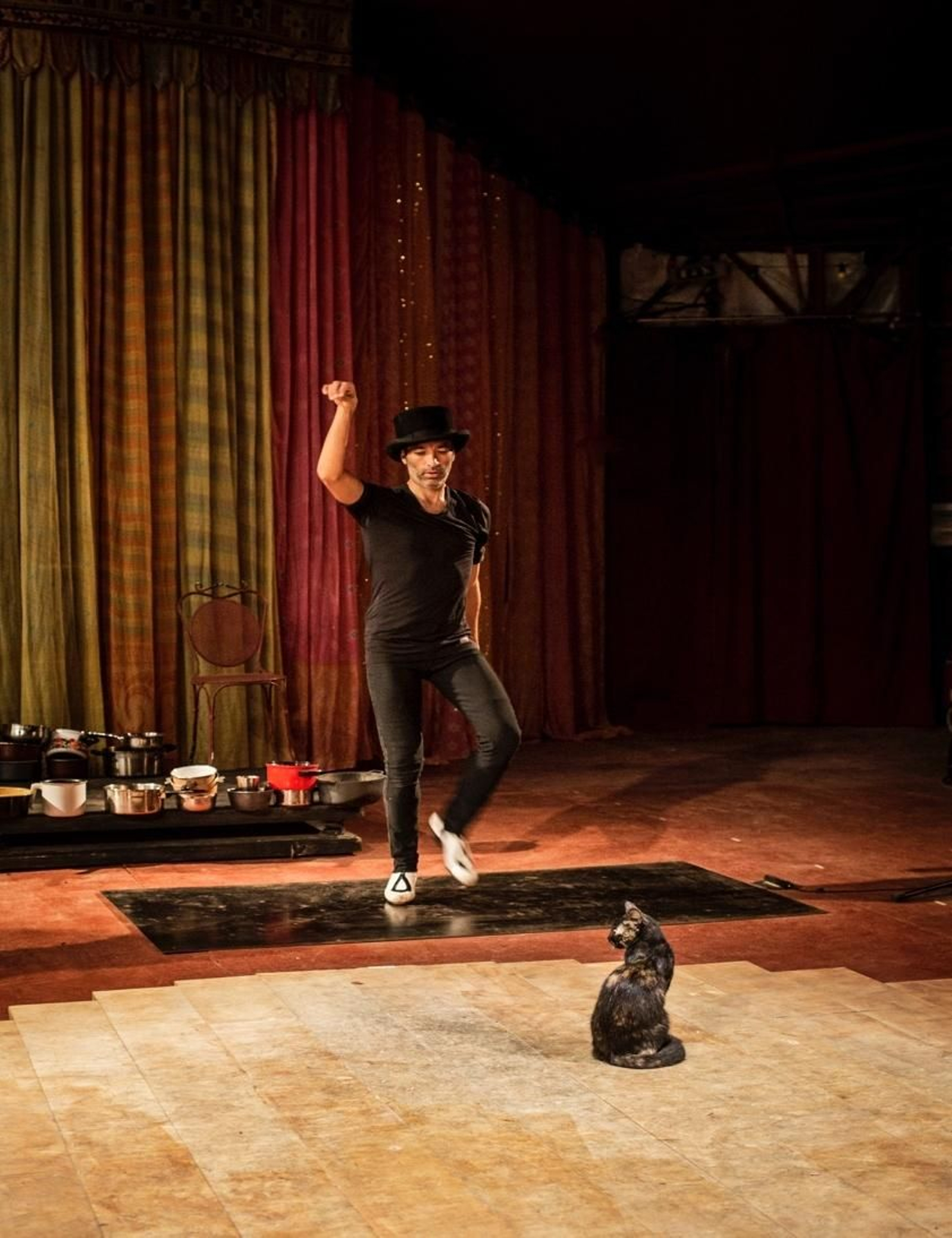 Israel Galván (Sevilla, 1973) interactuando con los gatos.