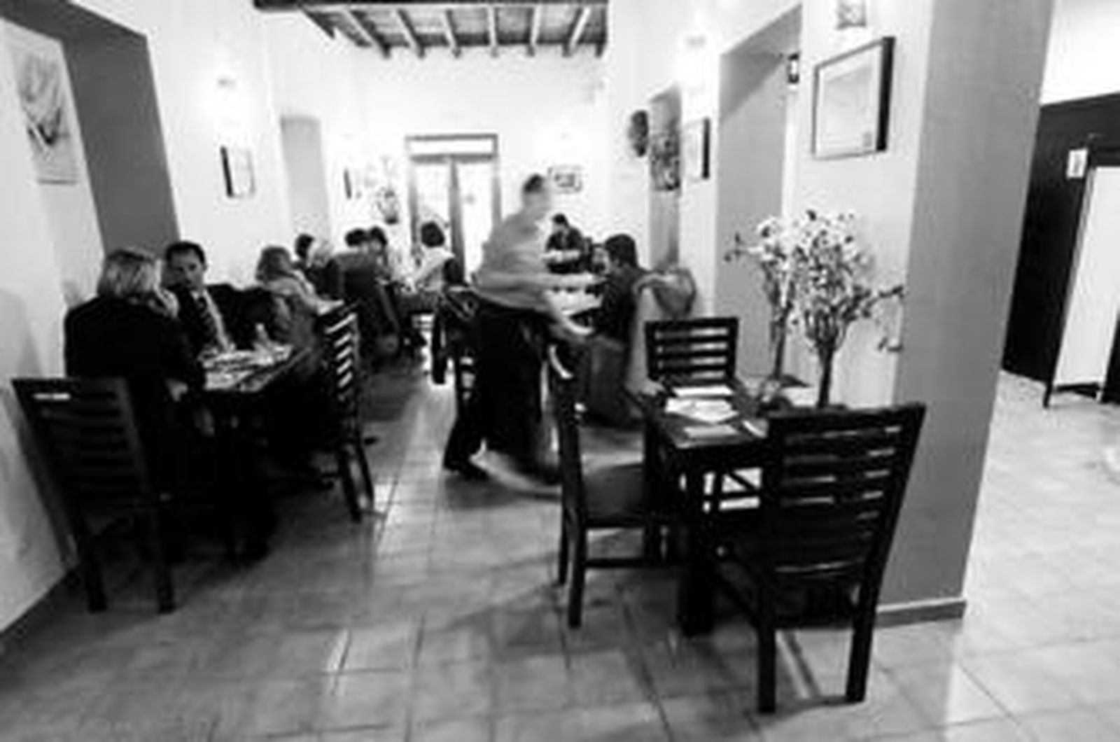 Un vegetariano asequible y distinto