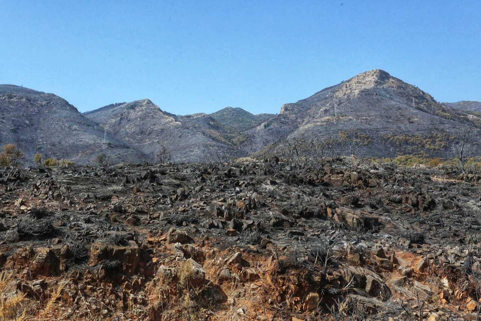 Las fotos de las zonas arrasadas por el incendio en la Sierra de Mijas
