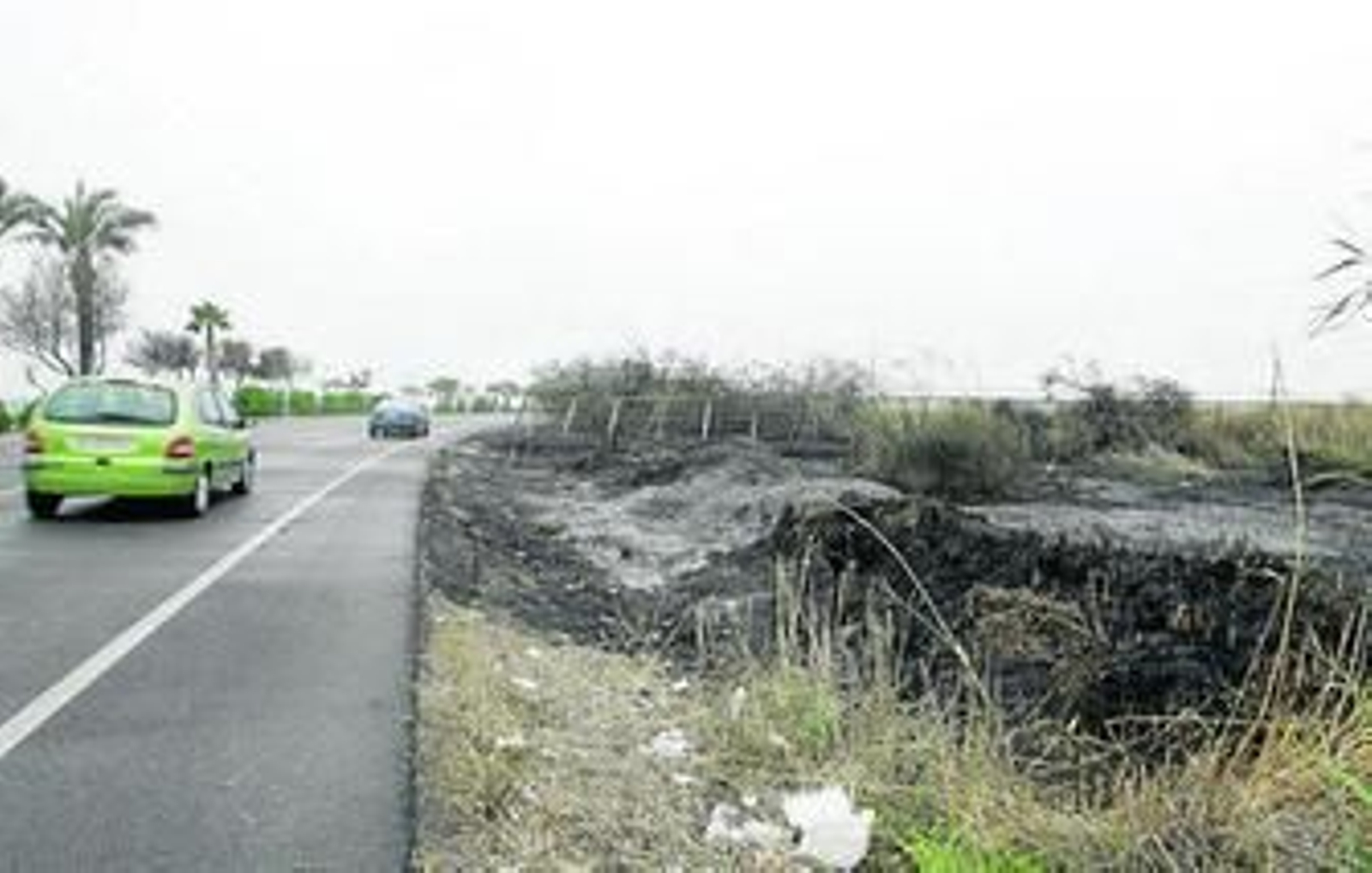 Las llamas se quedaron justo en los márgenes de la carretera de la Universidad.