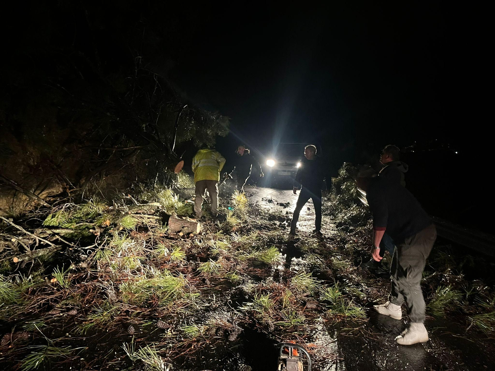Equipos retirando los pinos caídos carretera a Pujerra