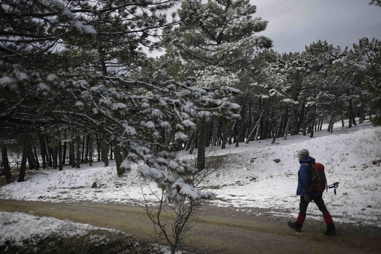 La excursiones a los parajes nevados de Málaga, en imágenes