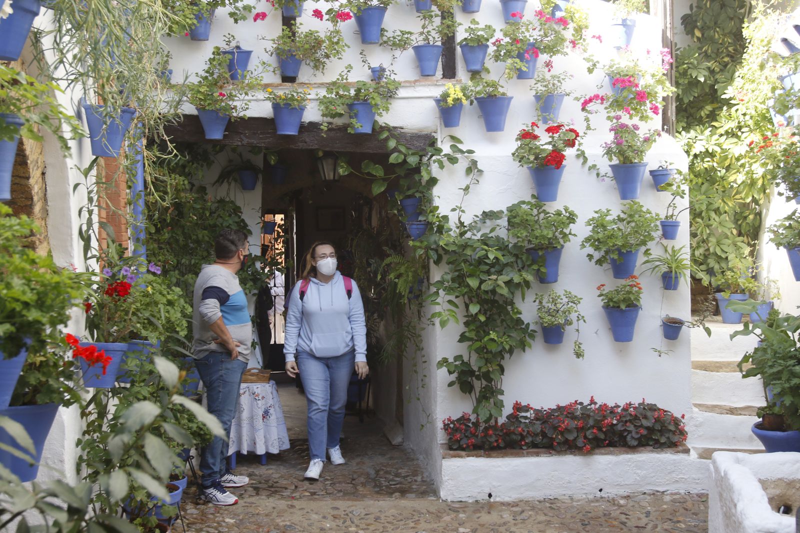 Las fotografías de los Patios de Córdoba en otoño