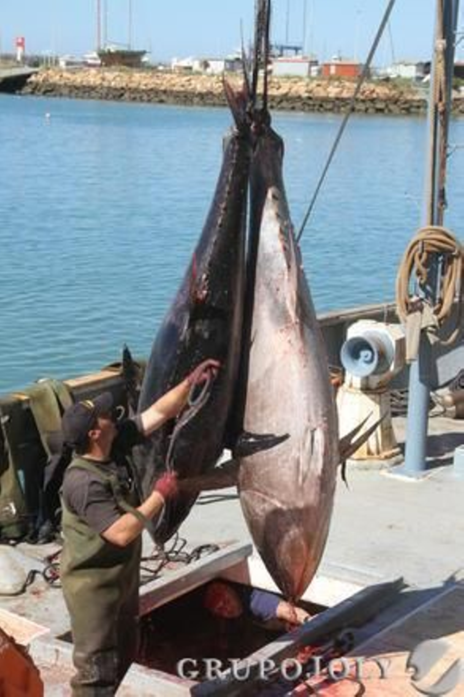 Foto: Manuel Aragon Pina