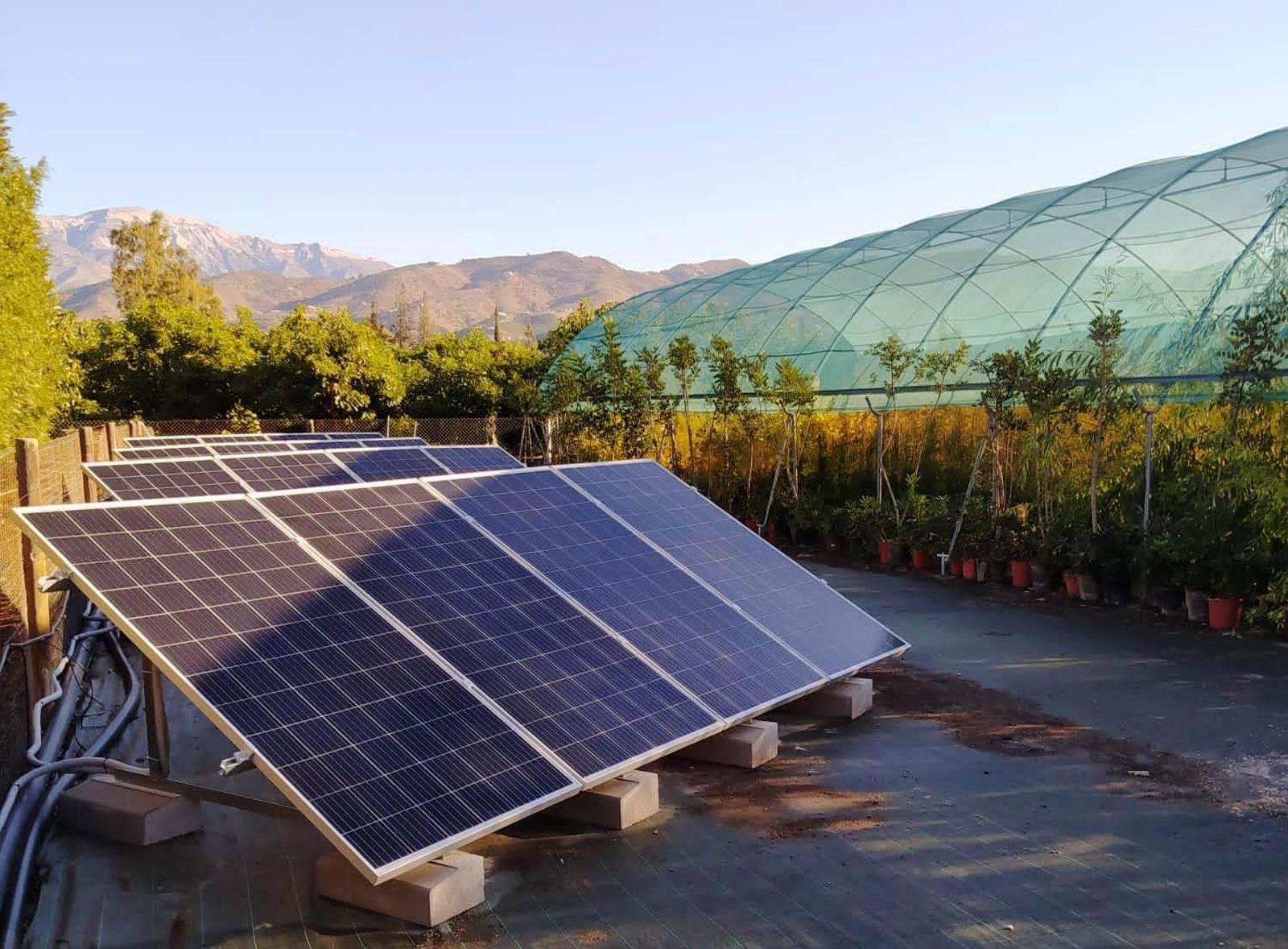 Una de las placas fotovoltaicas instaladas en el vivero provincial.