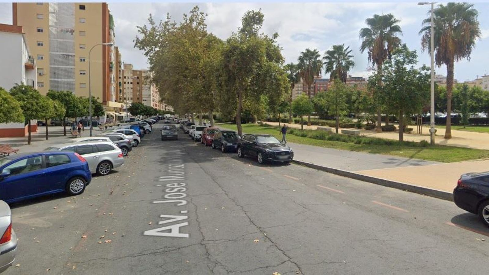 La Avenida José Muñoz de Vargas donde se produjo la pelea multitudinaria. La Avenida José Muñoz de Vargas donde se produjo la pelea multitudinaria.