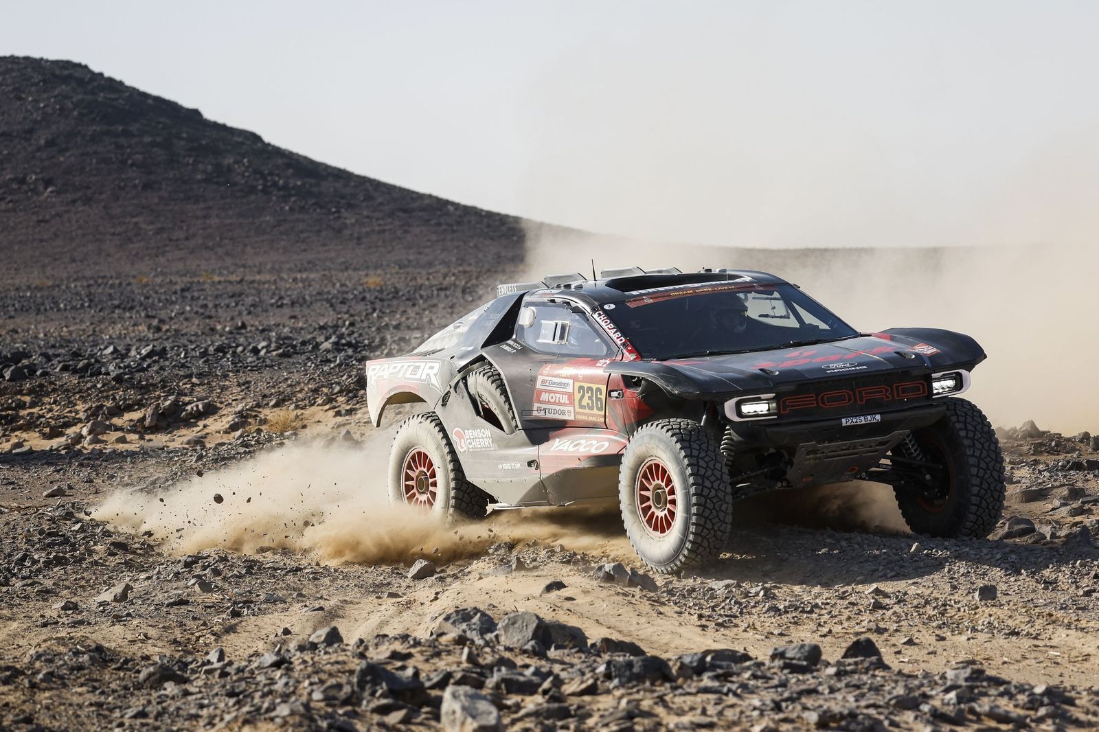 Las mejores fotos del Rally Dakar | Novena etapa