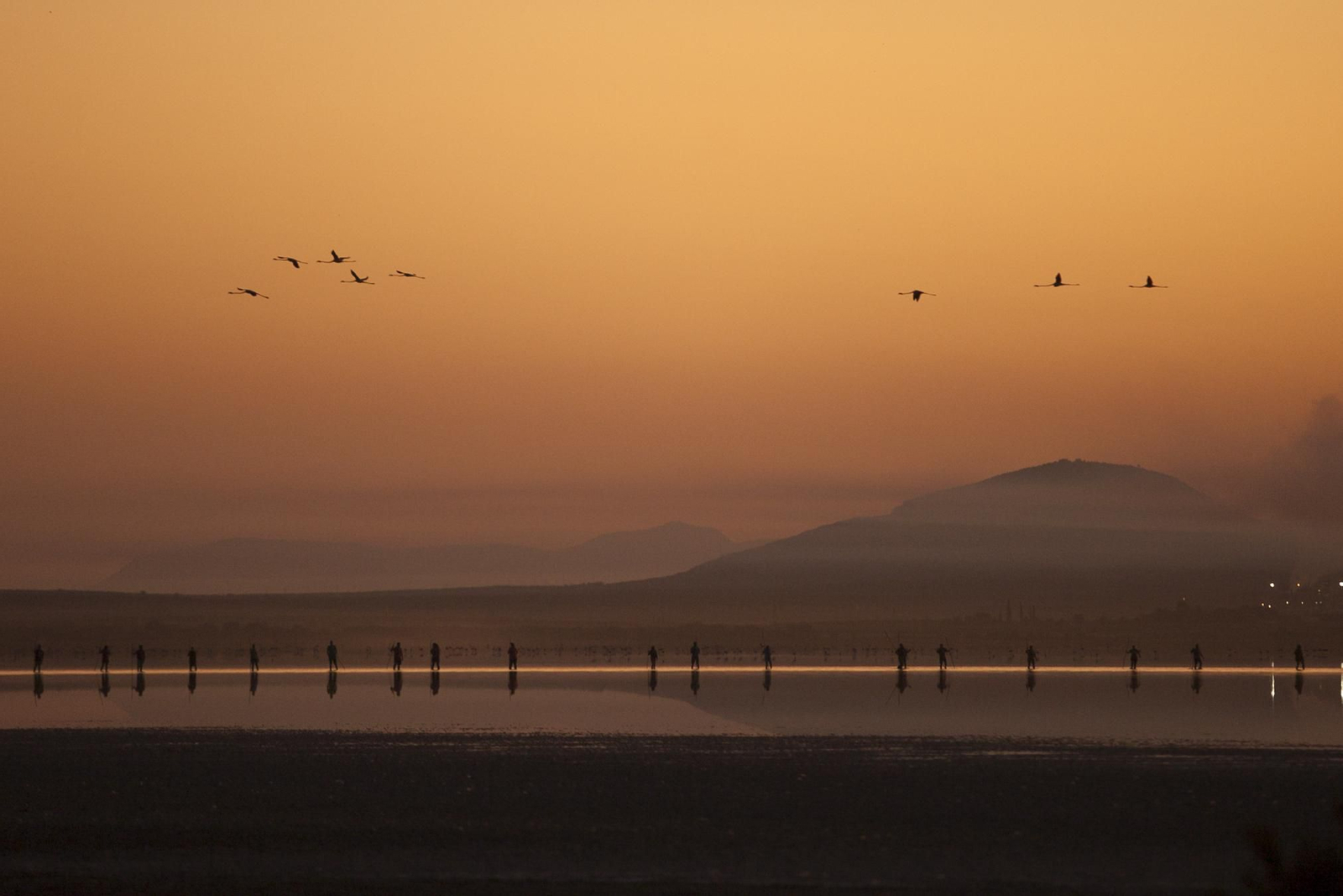 Amanecer flamenco en Fuente de Piedra