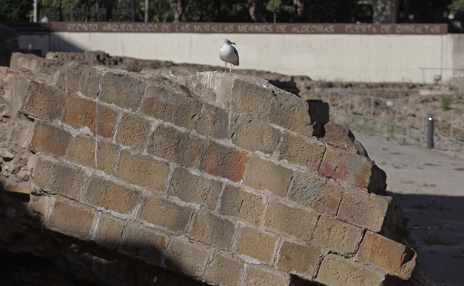 MURALLAS MEDIEVALES - MERINIES ALGECIRAS ERASMO (148).jpg