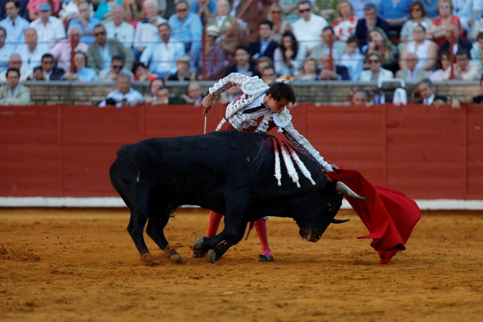 Las mejores fotos de la corrida de Morante, Ortega y Roca Rey en la Feria Taurina de Córdoba