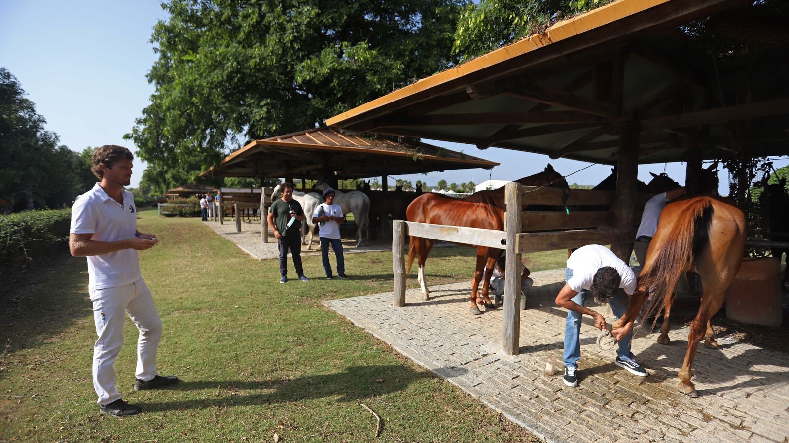 El polo desde dentro