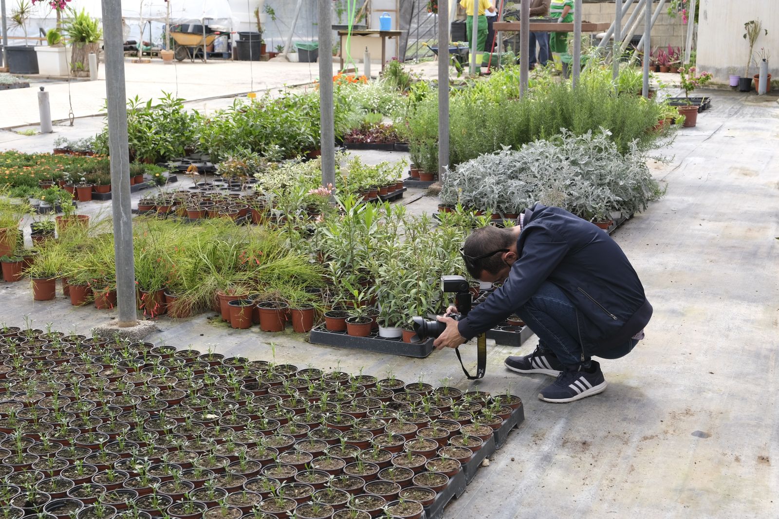 Fotogalería de la visita al vivero municipal de Almería.