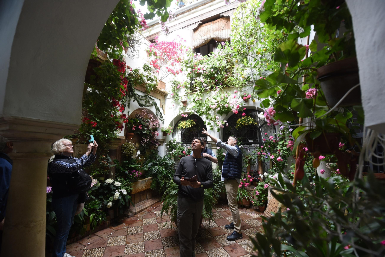 Los Patios de Córdoba de la Ruta del Alcázar Viejo, en imágenes