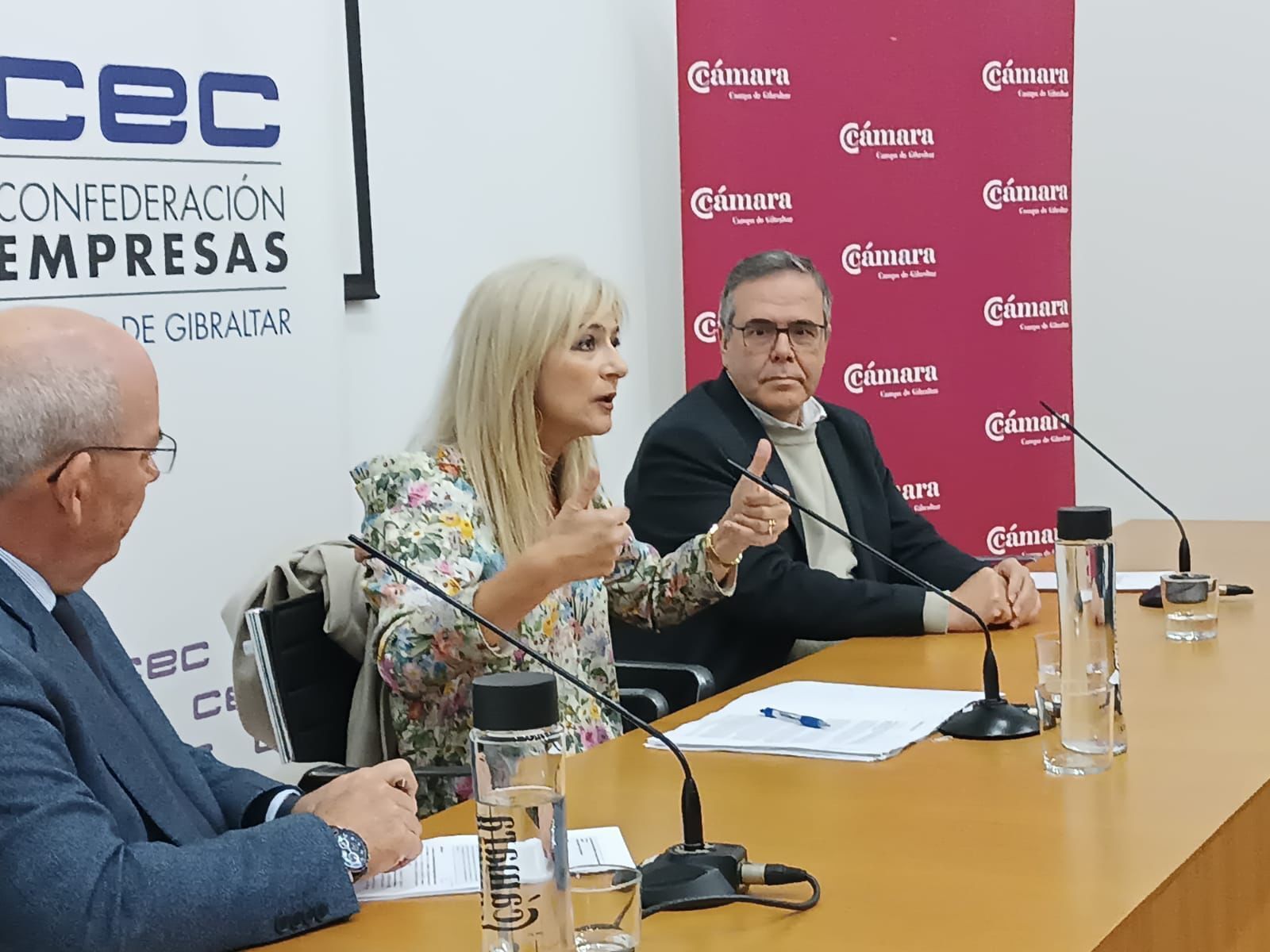 Del Pozo, durante su intervención.