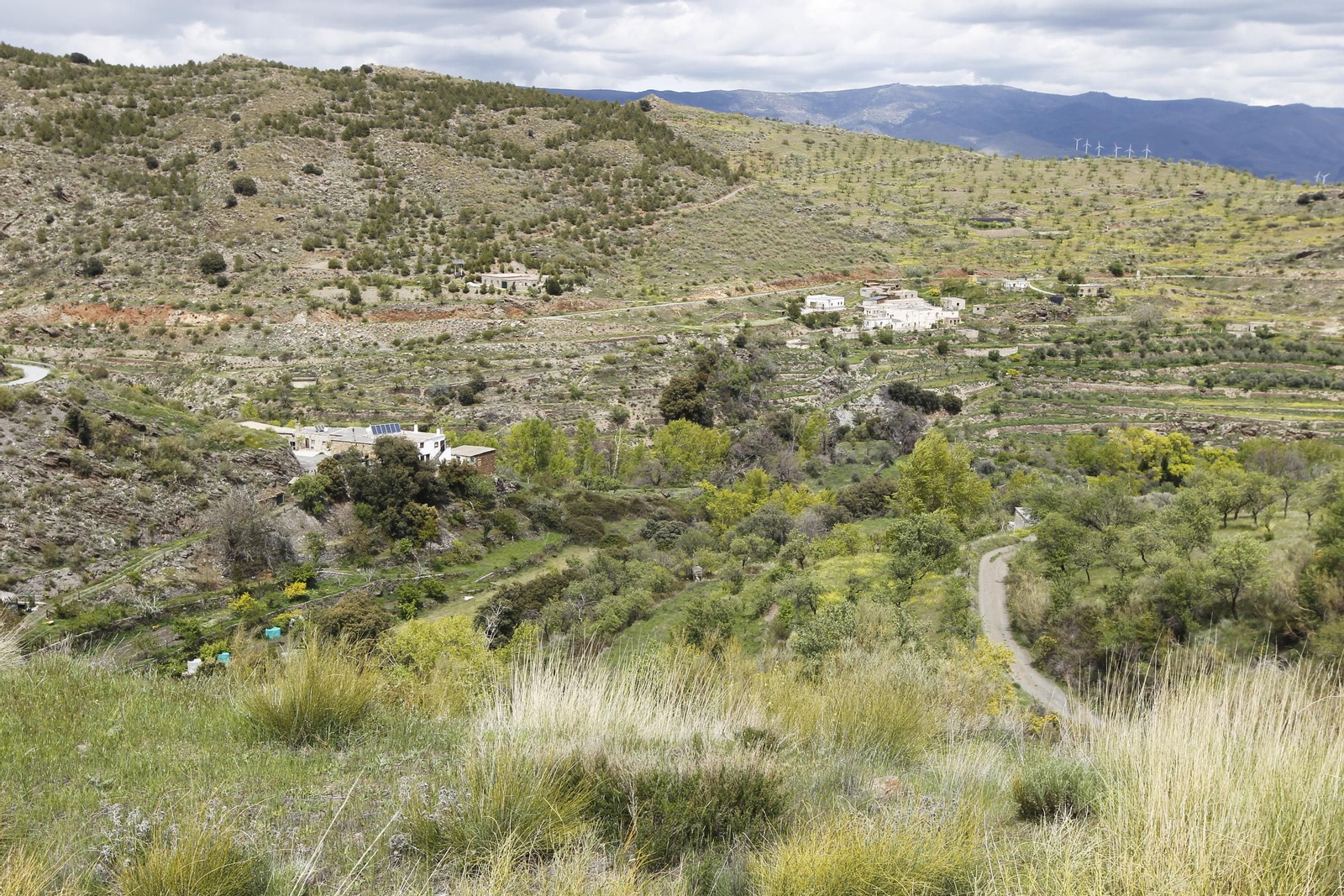 Naturaleza desconfinada. La Roza (Abrucena)