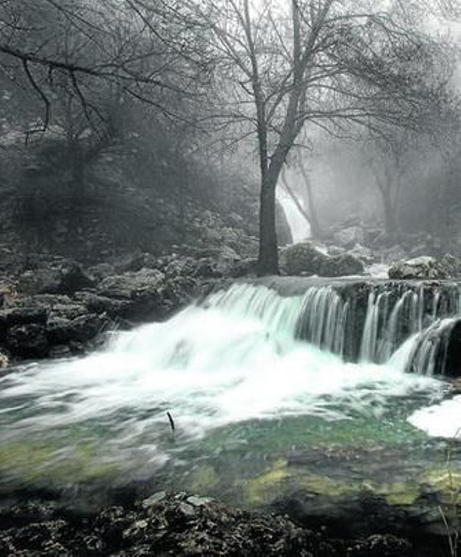 El curso del río Guadalquivir nace con fuerza en su fuente oficial, en la sierra de Cazorla.