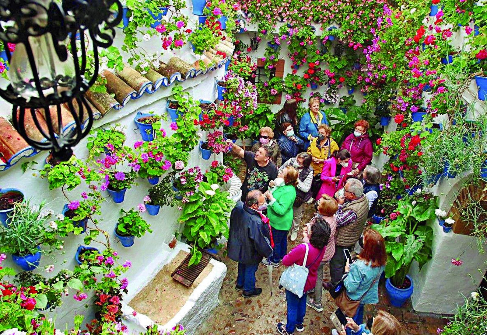 Ruta Alcázar Viejo: Postrera, 28