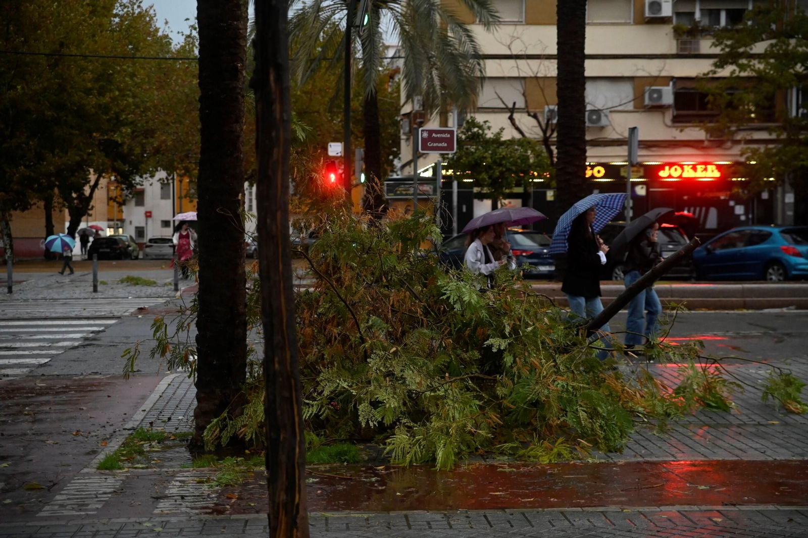 Las imágenes de los daños causados por el fuerte viento en el Sector Sur en Córdoba