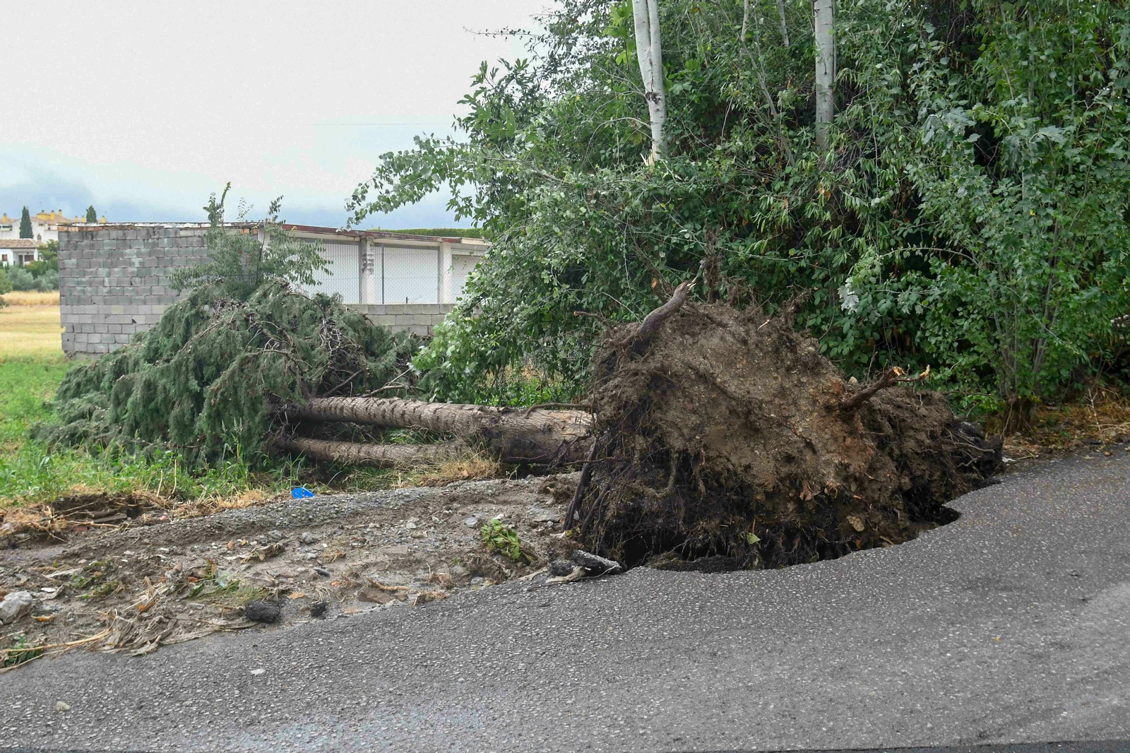 Los daños tras el paso de la DANA en Granada y su Área Metropolitana, en imágenes