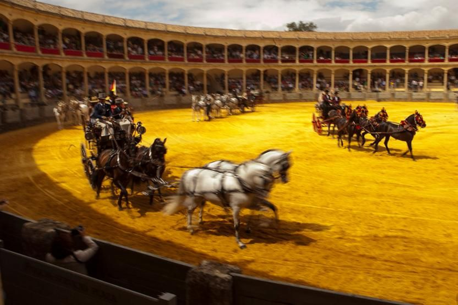 Concursos de enganches de Ronda en la plaza de toros.