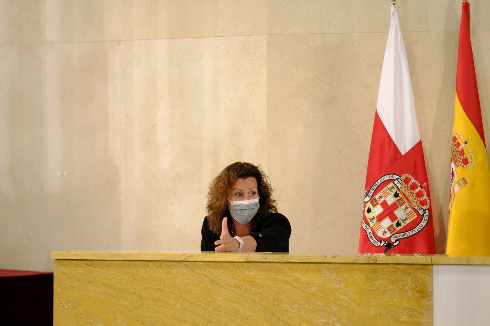 Fotogalería pleno ordinario del Ayuntamiento de Almería