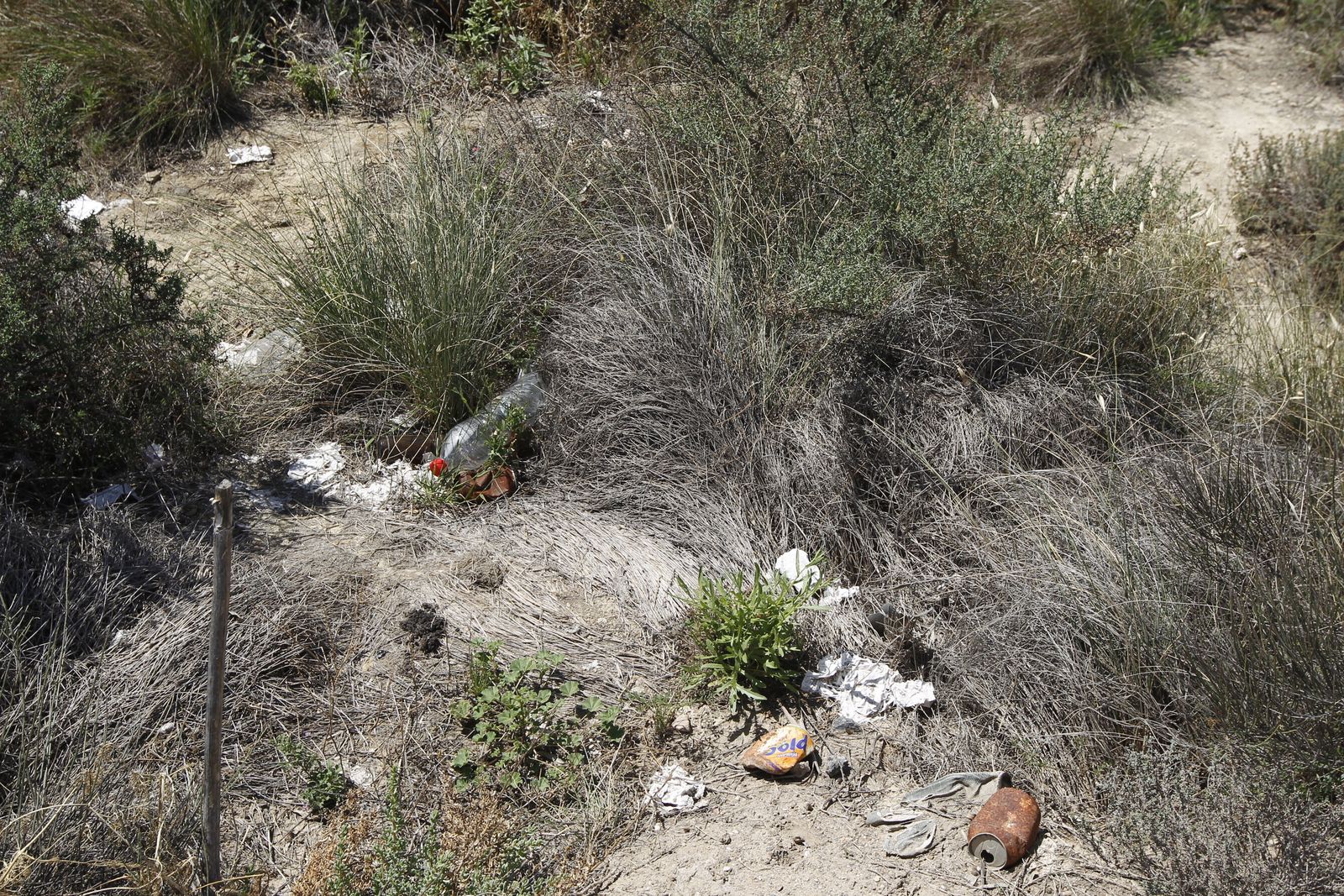 Fotogalería basura en el Desierto de Tabernas