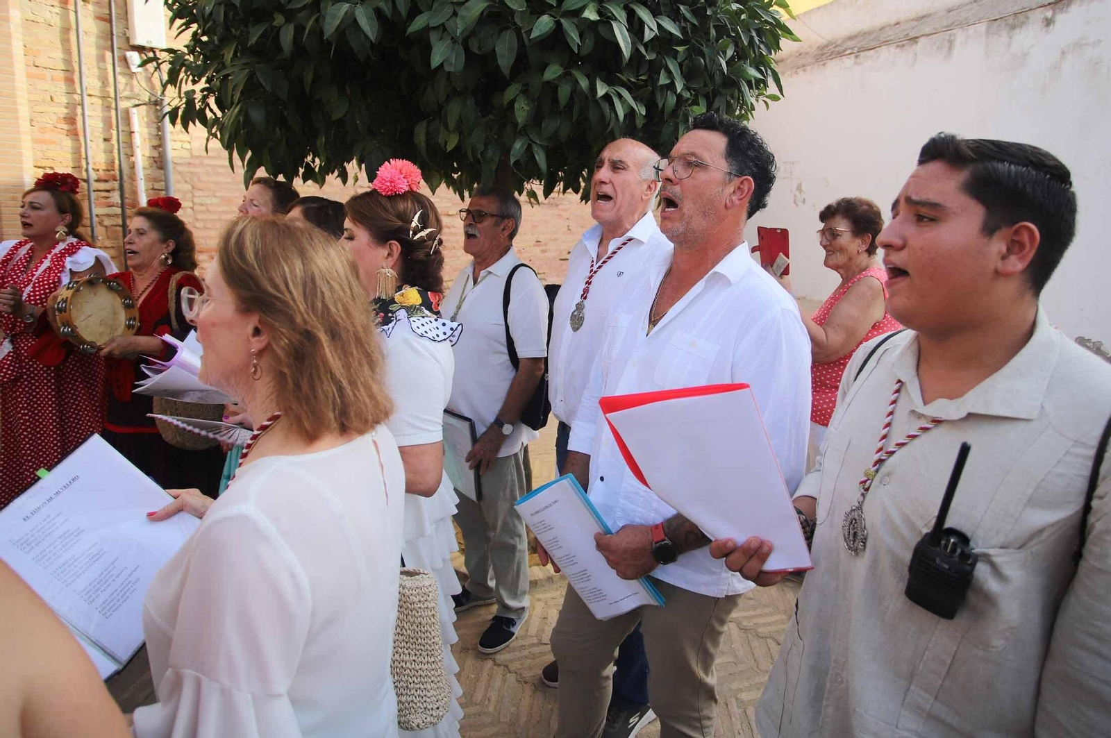 Imágenes de la Romería de la Virgen de los Milagros de Palos de la Frontera