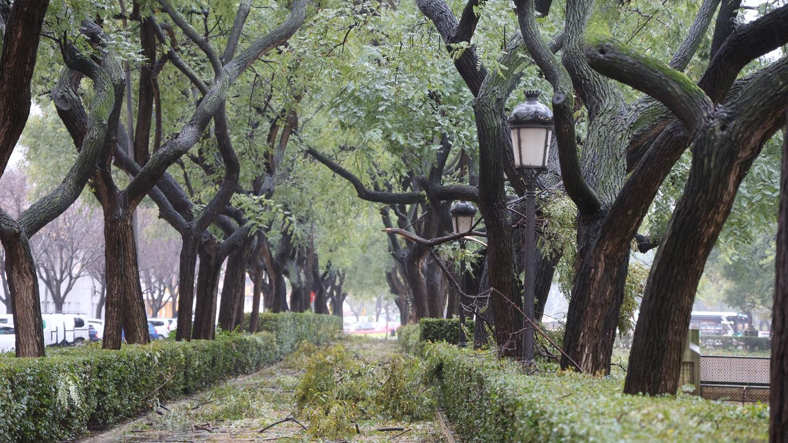 La Avenida de Andalucía, uno de los puntos que más sufre las rachas de viento.