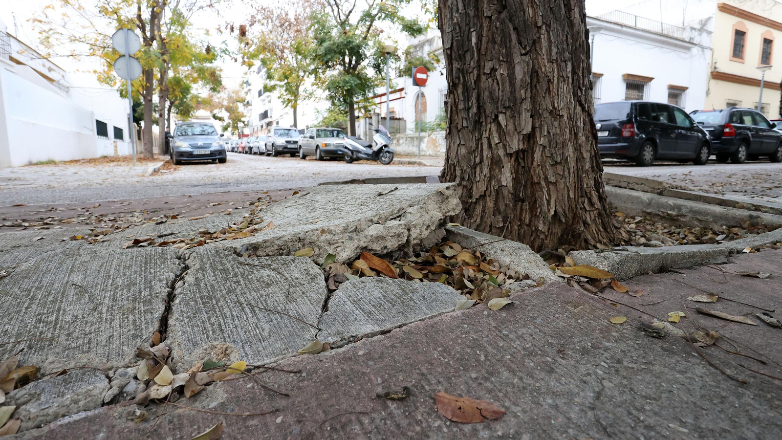 Acera levantada en la plazoleta de Barriada España.