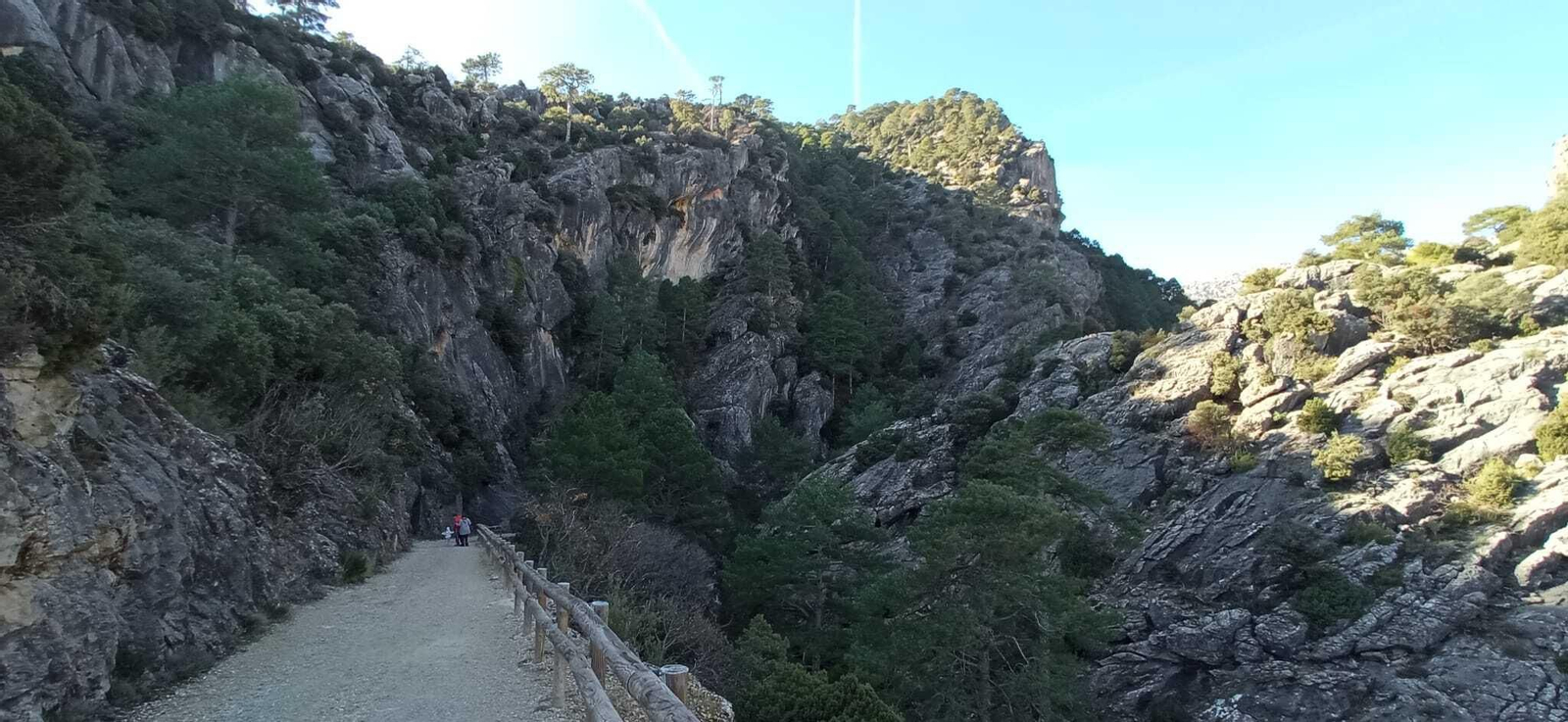 Cascadas de Guazalamanco