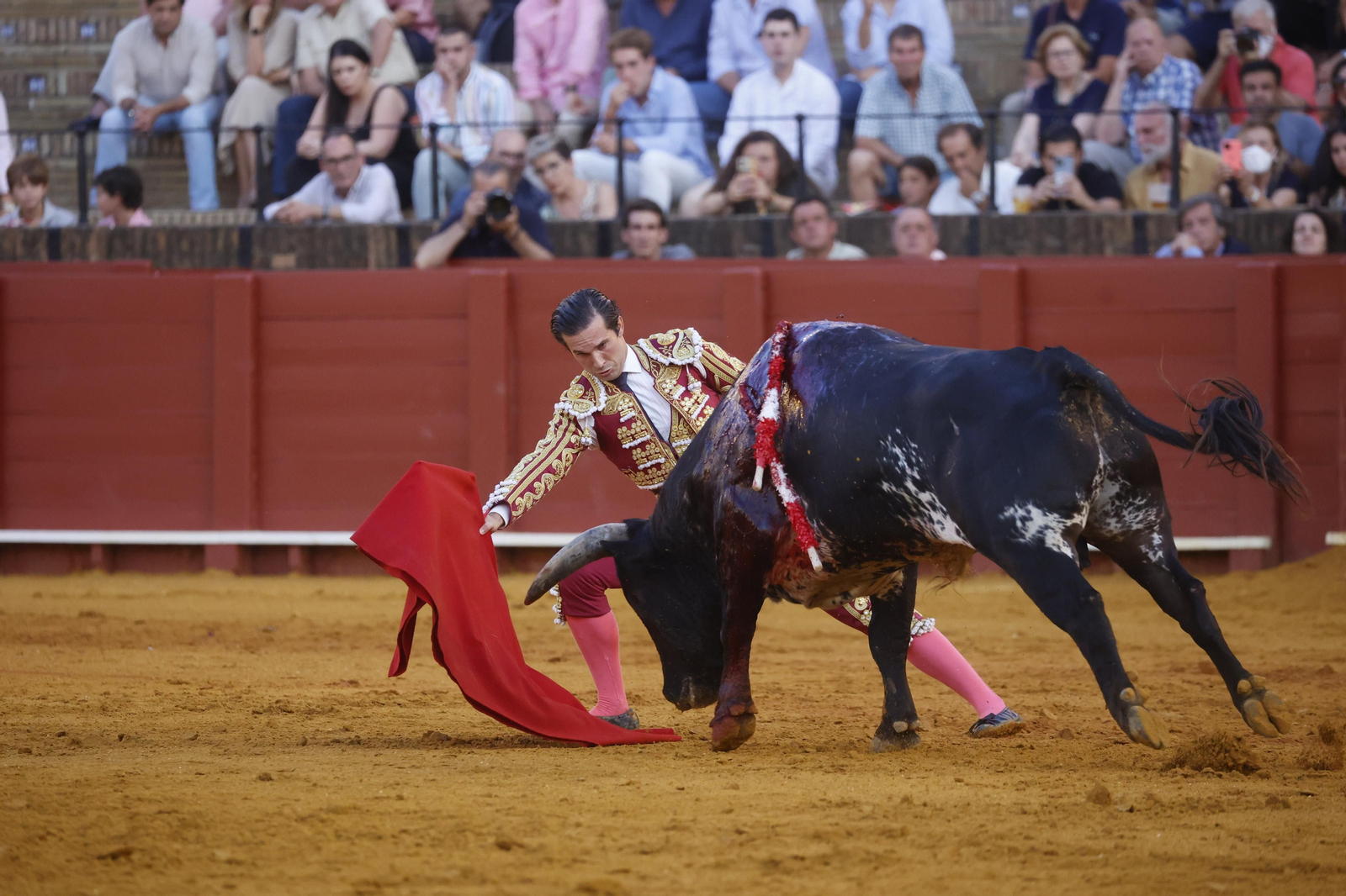 Las imágenes de la novillada en la Maestranza